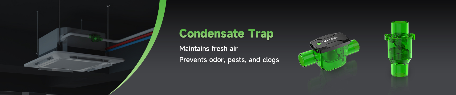 Condensate Trap